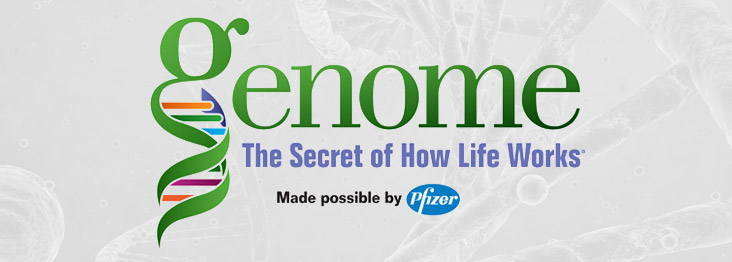 Genome The Secret of How Life Works