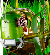 The Robot Zoo grasshopper
